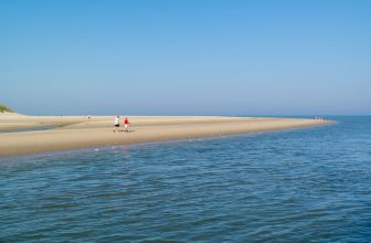texel-en