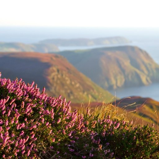 Isle of Man 🇮🇲