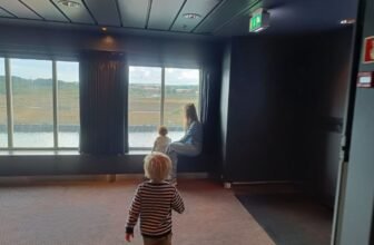 Enjoying the view from deck 7 or 8 on board the ferry from IJmuiden to Newcastle.