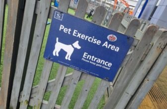 Pet excercise area in the port of Dover