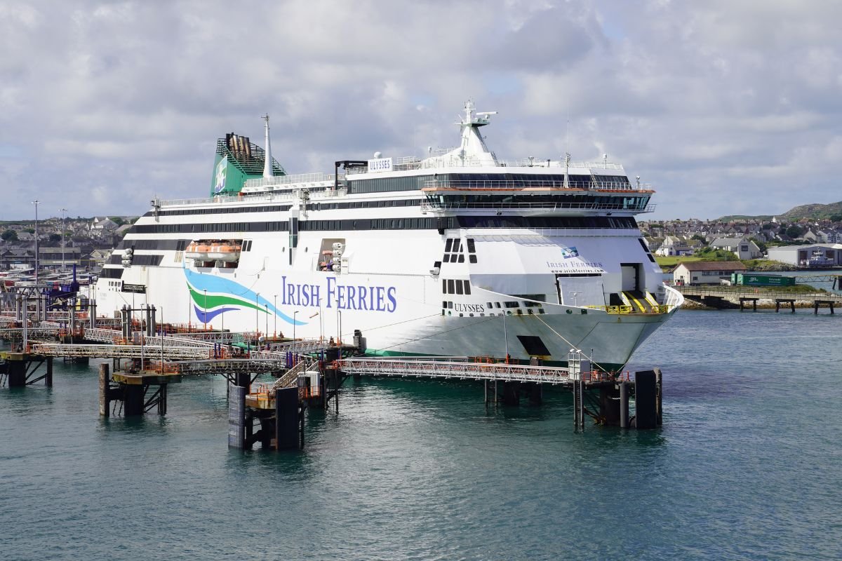 can you take dogs on irish ferries