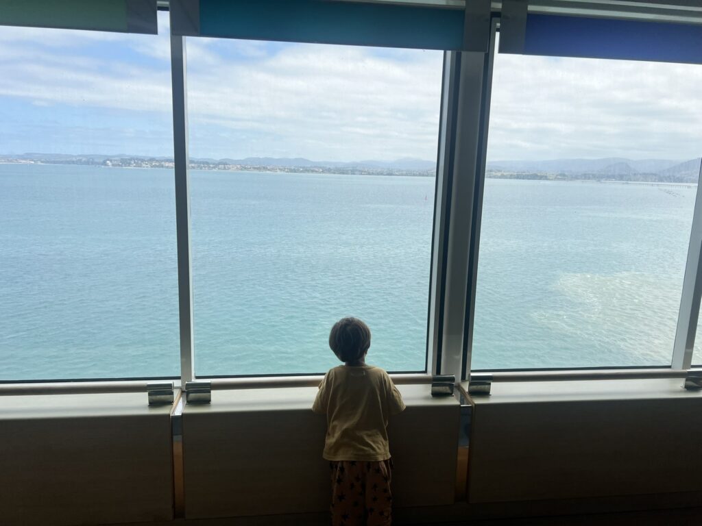 Young passenger looking out to sea aboard Pont-Aven on the way to Santander